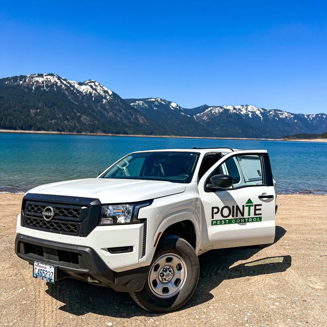 PointePest's tweet image. As the weather warms up, pests are starting to emerge. But don&apos;t worry - the Pointe Pest team is on the job! We love working in the Pacific Northwest and are dedicated to keeping your home free of pests this spring.