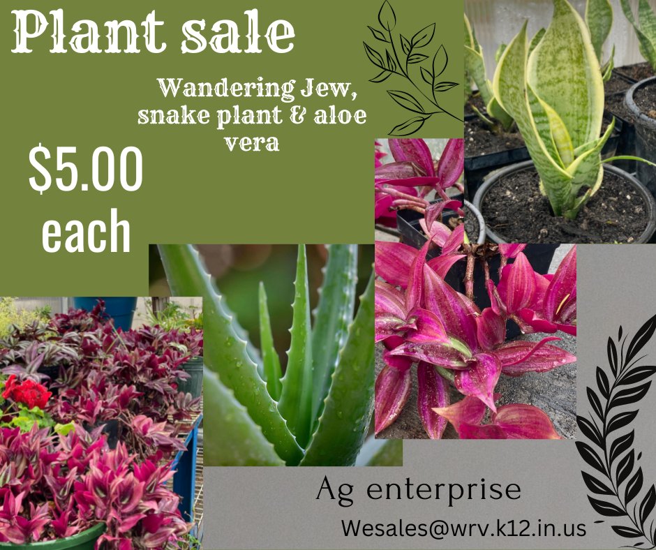 Wolverine Enterprises (@wrventerprises) on Twitter photo AG Enterprises is selling plants!!! Message or email us about purchasing them!!
<a href="/WRVwolverines/">White River Valley</a> AG Enterprises is selling plants!!! Message or email us about purchasing them!!
<a href="/WRVwolverines/">White River Valley</a>
