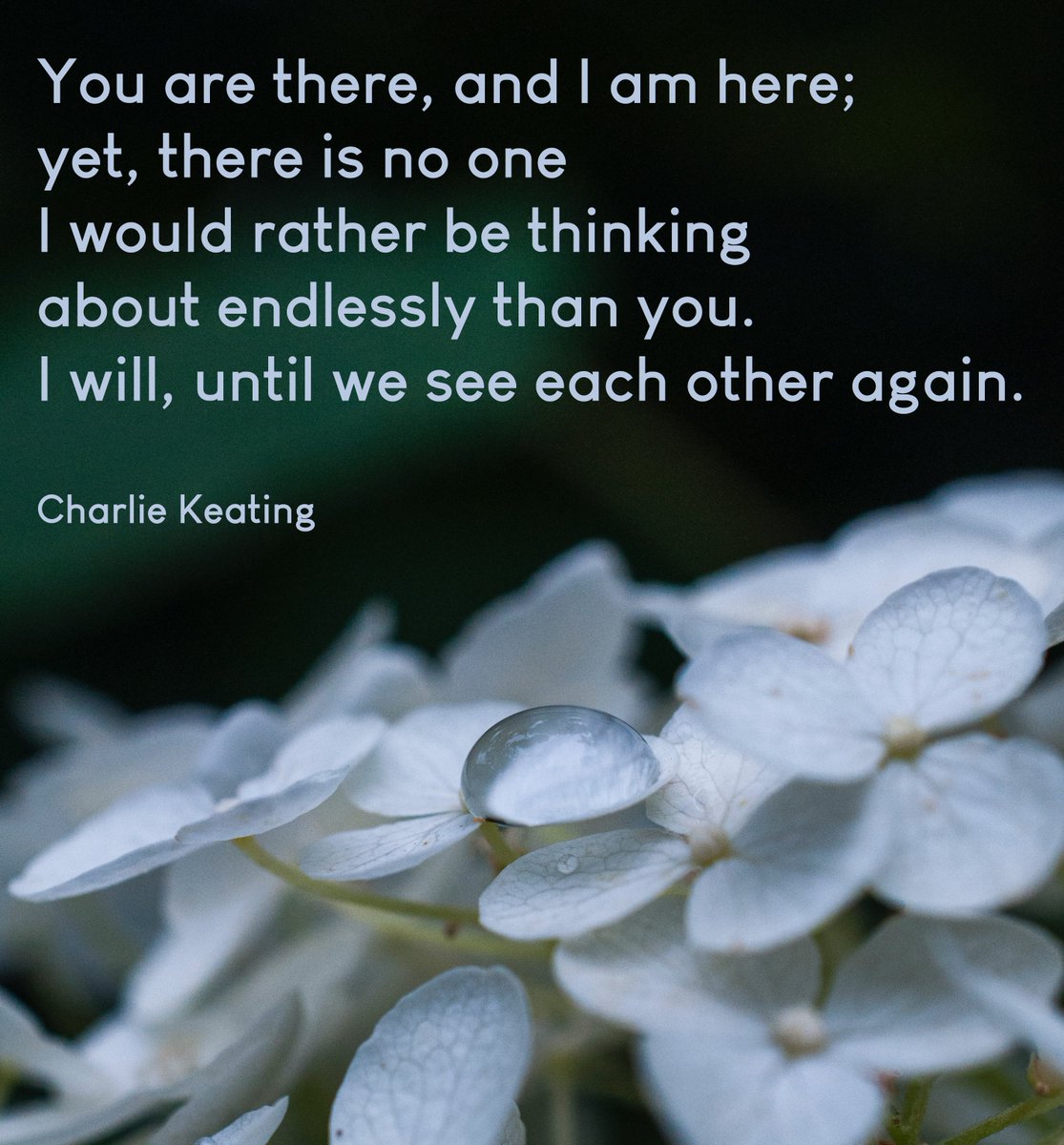 CharlesWKeating's tweet image. Until we see each other again. #poetry #quotes #endlessly