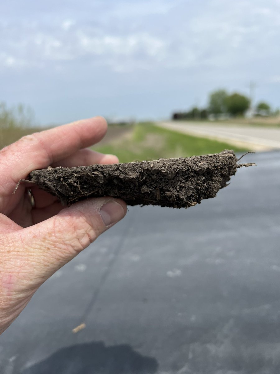 Allen Wiseman tweet media