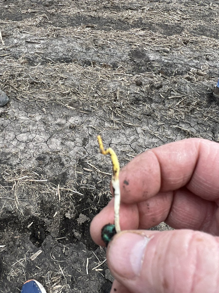 Allen Wiseman tweet media