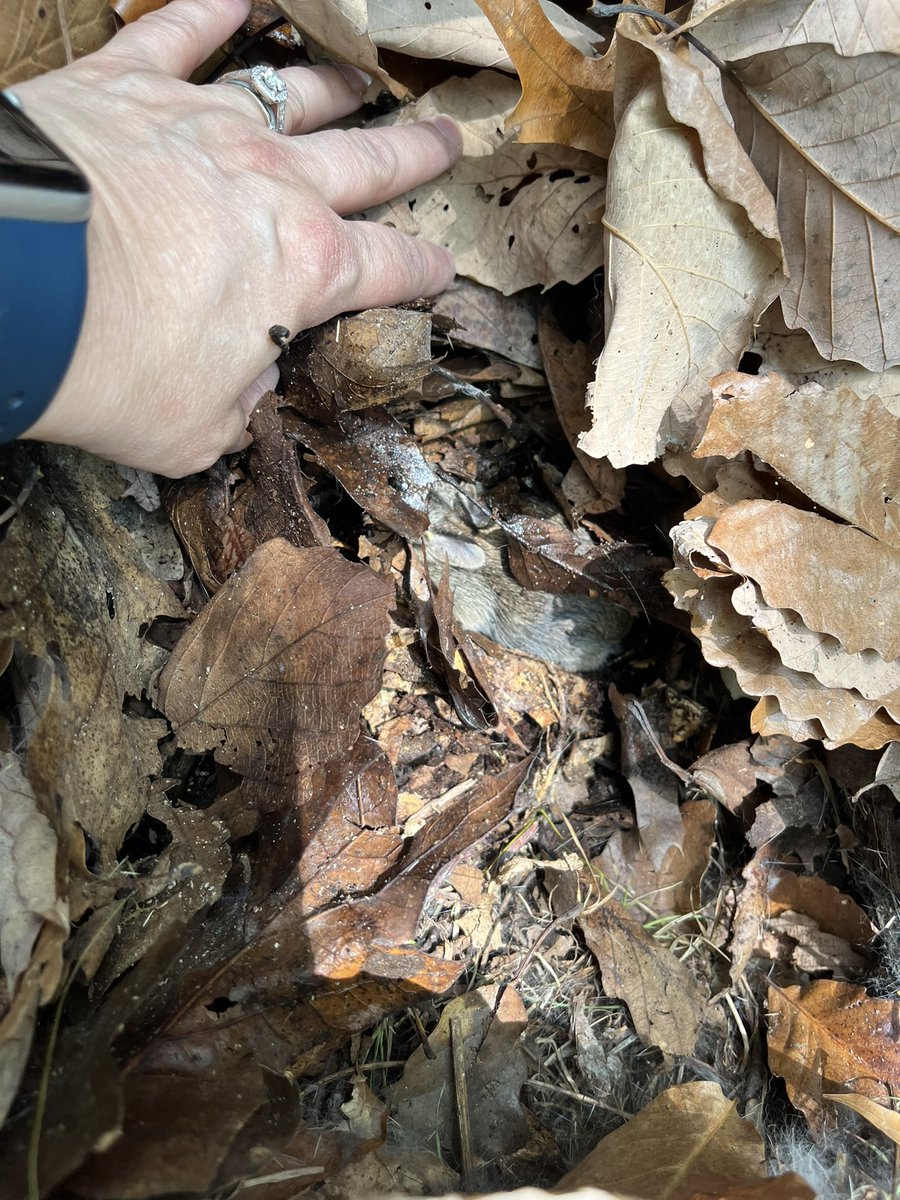 Survival Shelters 2023!
#eyms #themiddle #eyedge