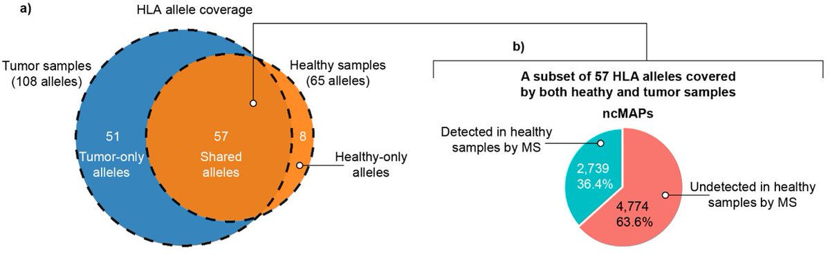 Cancer Immunology Research (@cir_aacr) on Twitter photo The Immunopeptidome from a Genomic Perspective: Establishing the Noncanonical Landscape of MHC Class I–Associated Peptides— by <a href="/Sachinskote/">Sachin Kote</a>, <a href="/AlfaroJav/">Javier Alfaro</a> et al.
bit.ly/3LYkW7r
<a href="/GeorgesBEDRAN3/">Georges BEDRAN</a> <a href="/im_into_science/">Dominika Bedran Neuroscientist</a> <a href="/znz8/">Fabio Massimo Zanzotto</a> <a href="/apalkowski/">Aleksander Pałkowski</a> <a href="/goodlettlab1/">goodlettlab</a> The Immunopeptidome from a Genomic Perspective: Establishing the Noncanonical Landscape of MHC Class I–Associated Peptides— by <a href="/Sachinskote/">Sachin Kote</a>, <a href="/AlfaroJav/">Javier Alfaro</a> et al.
bit.ly/3LYkW7r
<a href="/GeorgesBEDRAN3/">Georges BEDRAN</a> <a href="/im_into_science/">Dominika Bedran Neuroscientist</a> <a href="/znz8/">Fabio Massimo Zanzotto</a> <a href="/apalkowski/">Aleksander Pałkowski</a> <a href="/goodlettlab1/">goodlettlab</a>