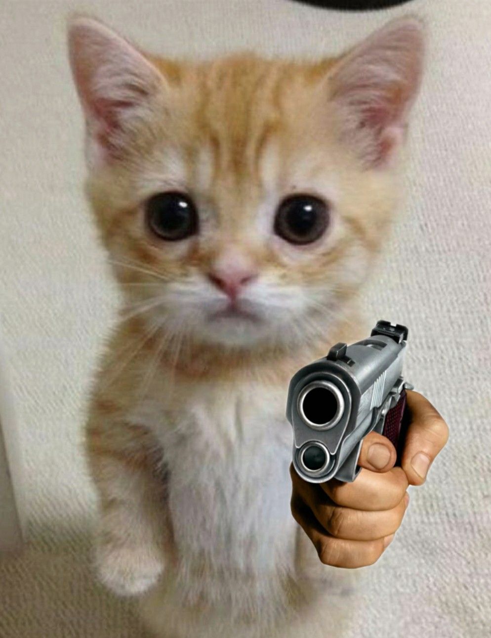 Эль Гато кот Мем