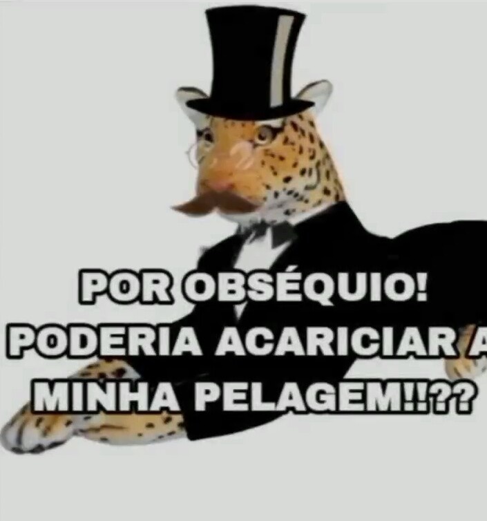 shitpostverdade's tweet photo. https://t.co/YexnMs5UrC