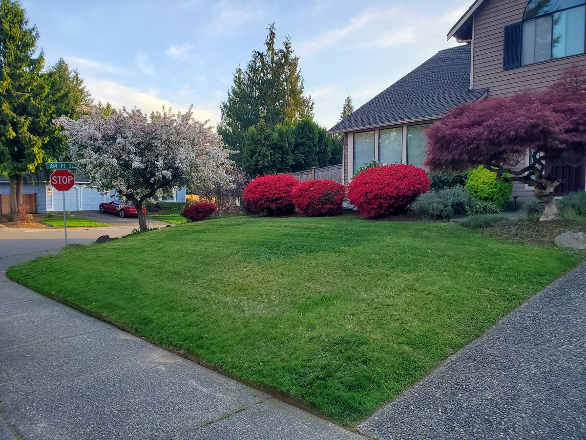 CampMowService's tweet photo. Here @CampMowService, we put effort into making your lawn look good.

Swipe to cut the lawn.

#mowing #landscaping https://t.co/98GwsCMlYK