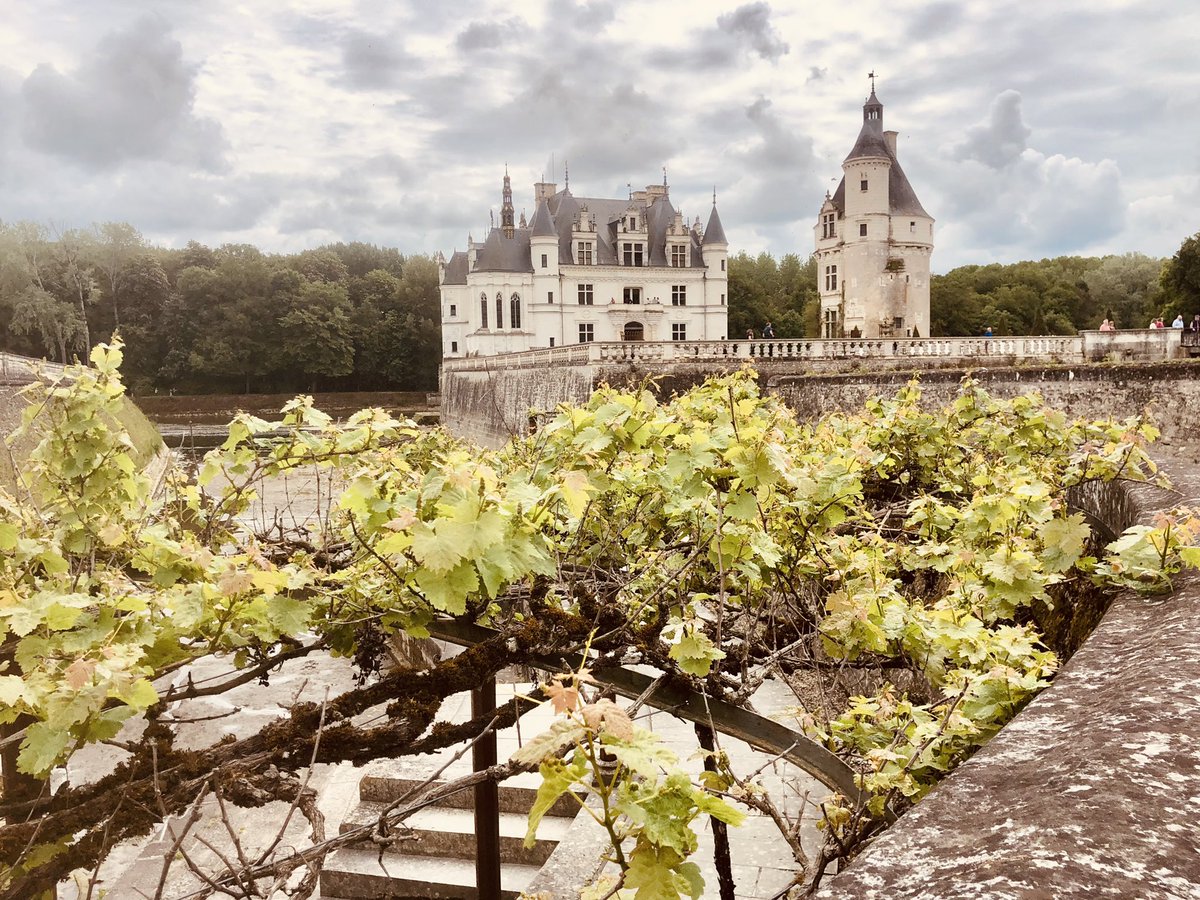 Castelli in #Loira ne abbiamo? 1. Chambord 2. Blois 3. Amboise 4. Chenonceau. Li avete visitati tutti? @IT_AtoutFrance @Assaggidiviaggi @viaggimperfetti @vidoiltiro @SimonaPasquino5 @viaggiatore_npc @fiveintravel @pontanifra @JosefPalladino @ItinDiViaggio @Lascimmiaviagg