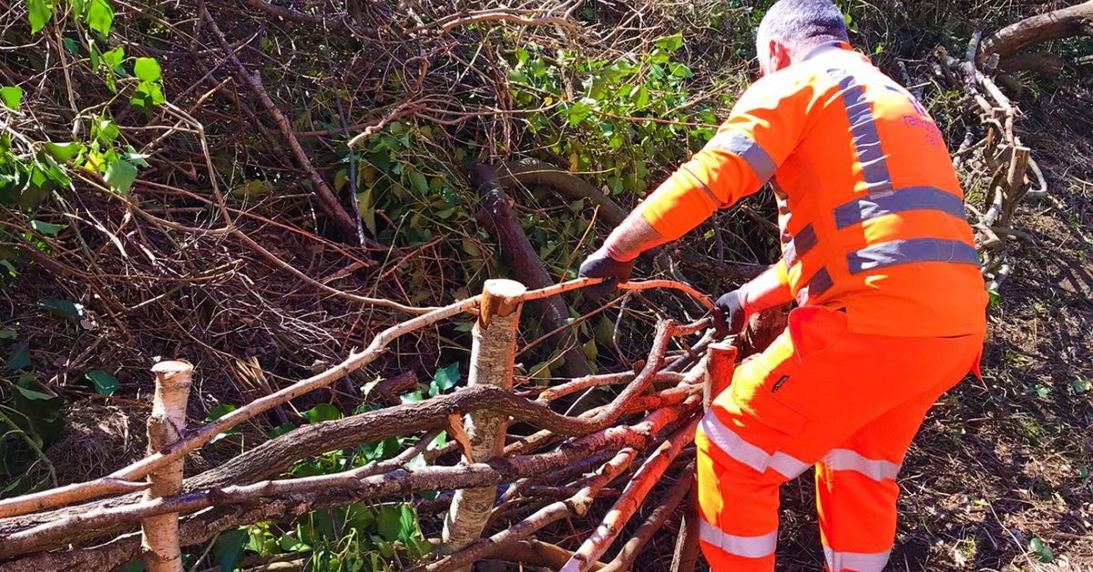 ColasRailUK's tweet photo. π² Going Green at Gunnersbury
π·ββοΈπ·ββοΈ The SRSAβs #TeamOOC swapped sites for a nature reserve as they collaborated with the London Wildlife Trust at Gunnersbury Triangle
π§Ή The team of volunteers built wattle fences and tidied up walkways to look after our site neighbours https://t.co/eK9049qlq2