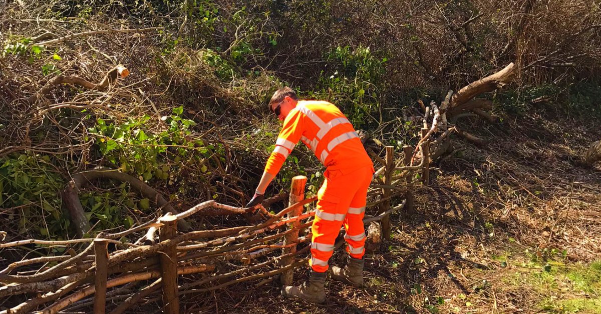 ColasRailUK's tweet photo. π² Going Green at Gunnersbury
π·ββοΈπ·ββοΈ The SRSAβs #TeamOOC swapped sites for a nature reserve as they collaborated with the London Wildlife Trust at Gunnersbury Triangle
π§Ή The team of volunteers built wattle fences and tidied up walkways to look after our site neighbours https://t.co/eK9049qlq2