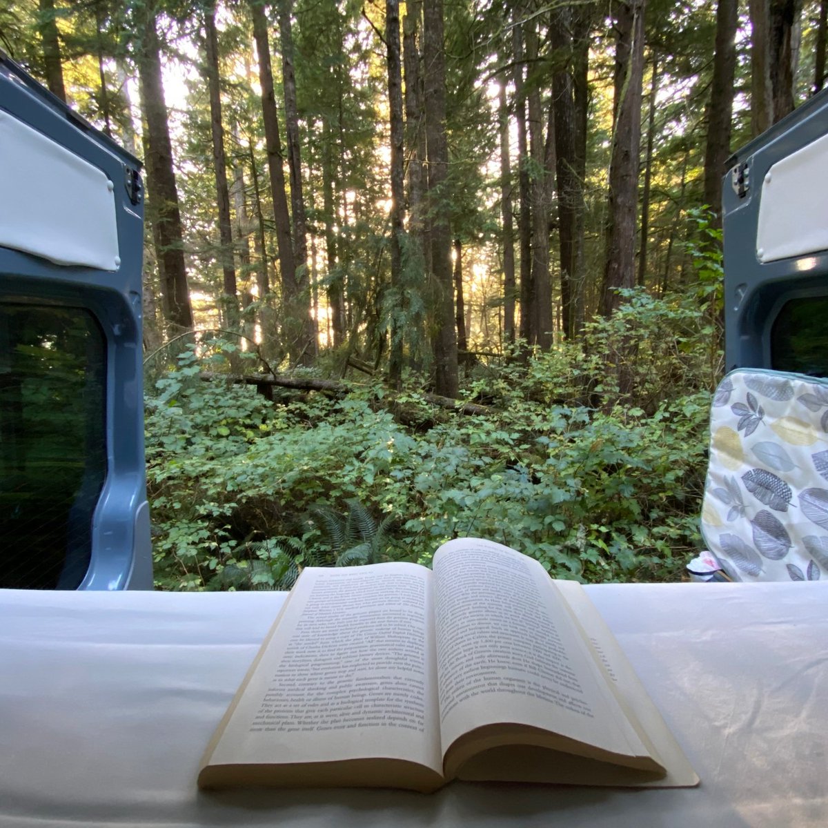 VancillaryPro's tweet image. Our coastal rainforests and their mood, humidity, and peacefulness are warming up for the
season. Where is your favorite destination among the
trees? Ours:

Tofino, BC
Quillayute Needles National Wildlife Refuge, WA
Jedediah Park, CA

#amongthetrees 
#vancillaryproducts