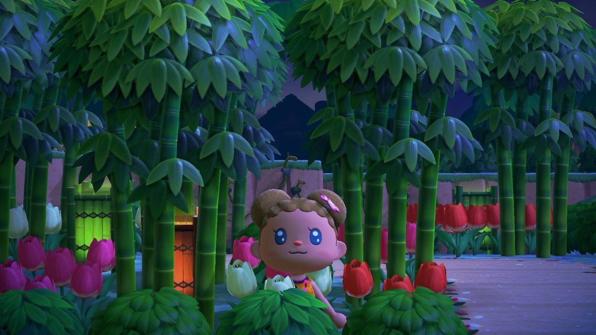 LeaDebaum's tweet photo. New Akala is growing ^ - ^ #AnimalCrossing #ACNH #NintendoSwitch https://t.co/rRynFIT12q
