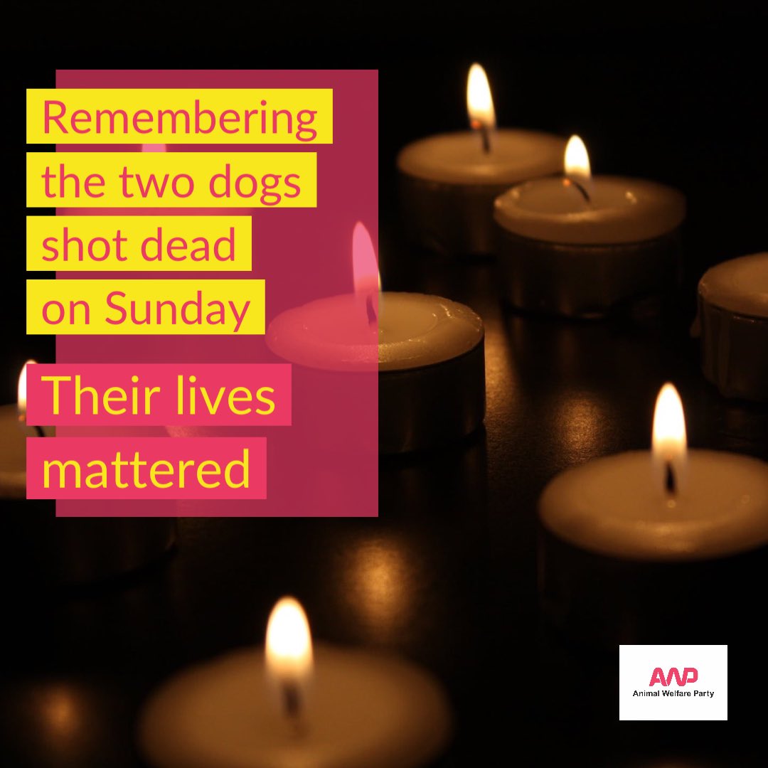 Animal Welfare Party on Twitter "Solidarity with all attending the 