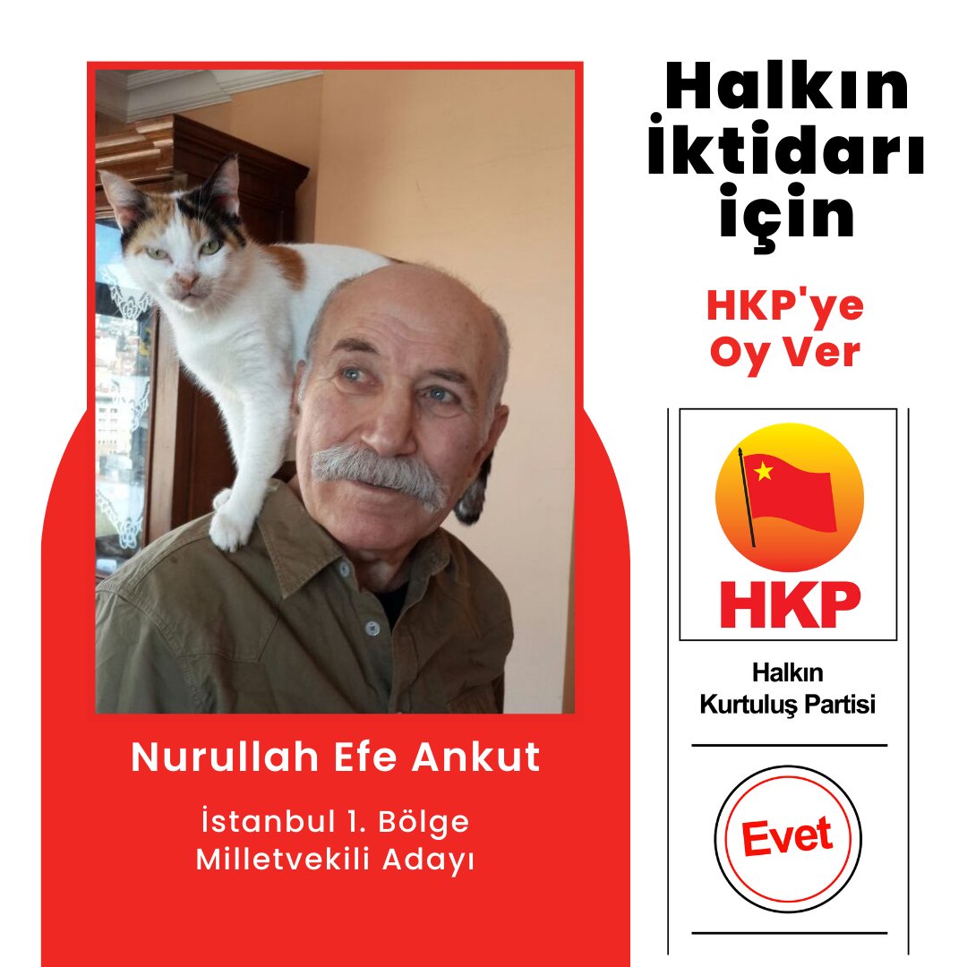 kurtuluspartisi's tweet photo. Hayvanlar, hayatımızın zenginliğidir. Ama kimi insanlar gerek yetiştiricilerinin cahilliğinden, gerekse mal mülk hırsları yüzünden sevmezler hayvanları.
Oysa biz, bu sevimli hayvanların içtenlikli, sadık, hile, düzen, riya bilmez hayvanların çocukluğumuzdan beri hep içinde olduk, onlarla birlikte büyüdük ve onları çok sevdik.
Onlar uğruna "belalara atladık" gözümüzü kırpmadan. İşte bunlardan biri de, şu an hayatta olmayan Narin Hanım. Onurlu, akıllı, sevecen, dengeli bir kızımızdı.
Daha önce de anlattım. Gelişi bir masal, bir rüya gibiydi. Güngören Haznedar'da oturduğumuz sokaktaki hayvan düşmanı bir zalim kadın, 15-20 günlük bir yavruyken bu kız��mız, onu almış, sokağa atacağı eski çamaşırlarının arasına koymuş, hepsini de bir naylon torbanın içine sokarak ve tabiî torbanın da ağzı bağlı bir şekilde akşam toplanacak çöp yığınlarının yanına koymuş.
O arada oradan geçen ve çöplerden işine yarayacak bir şey toplamaya çalışan Roman bir kadın, eski giysilerle dolu poşeti yırtıp açınca, arasından henüz ölmemiş olan Narin yavrucuğumuz da çıkmış.
Roman kadın, sokak komşumuzdan çok daha insan olduğu için onu kaldırımın dip tarafına yani apartman duvarının hemen yanına bırakmış.
Mahallemizin sevimli çocukları harçlıklarını bir araya getirerek bakkaldan kutu süt ve pipet alıp içirmeye çalışmışlar yavruya. Ama yavru daha böyle süt içecek yaşta değilmiş ki. İçememiş, üstüne başına dökülmüş sütler.
Mevsim bahar, ortalık serin, sokağımızda da esinti var. Hayvan soğuktan donmuş, hareketsiz şekilde ağzı yüzü yere yapışık halde ölümü beklemeye başlamış.
O arada işten dönen kızım, aslında yolun ortası kestirme oldu��u için oradan gelirdi ama o arada bir araba geçmiş, kızım da arabadan sakınmak için kaldırımdan yürümüş. Narin yavrucağı orada görebilmiş. Bakmış, hareketsiz olmakla birlikte nefes alıyor ve kalbi atıyor hayvanın.
Hemen telefon etti, baba böyle bir durum var, diye. “Hemen al, eve getir kızım”, dedim. “Annen okuldan dönünce hemen veteriner hanıma götürün”, dedim. Eşim de zaten o anda öğretmen olarak görev yaptığı okuldan dönmüş, apartman kapısında kızımla karşılaşmışlar.
Birlikte veteriner hanıma götürmüşler. Veteriner hanım bakmış, “Cat Milk” denen kedi sütü ve kedi biberonu alıp beslememizi, sıcak tutmamızı söylemiş. Bu arada pek bağlanmayın, demiş. Yani durumu kritik, demek istemiş.
Geldiler, çaydanlıktaki ılık suyla yıkadık, bedeni ısınınca canlandı, hareket eder oldu. Eczane kapanmadan biberonu ve toz halindeki “Kedi Sütü” denen mamasını da alıp geldik. İki saatte bir az az da olsa içirmeye başladık.
Hafta sonuydu. Kızım iki gün göğsünde onunla yatıp kalktı. Yani göğsünde taşıdı onu hep. O süre içinde mamadan çok az içiyor ama hiç ses çıkaramıyordu. İki günün sonunda “miyav” demeye başladı. Sonraki günlerde hızla iyileşti. Bol bol Kedi Sütü içmeye başladı. Bir aylık olur olmaz da katı yiyecekleri yer oldu.
Evde olduğum sürece hep ben baktım artık. Kanepeye oturup elime biberonunu aldım mı hemen koşar gelir kucağıma yerleşirdi ve bir biberon mamayı bitirirdi.
Büyüdü, güzel bir kız oldu. Ve yine böyle acıklı bir süreç sonunda kurtarılarak hayatta kalması sağlanan bir başka yavrumuz da onunla birlikte büyüdü. Onun hikayesini bir başka zaman anlatırız. Çiftleşmişler; hamile kaldı ve 5 yavru doğurdu. Üçü erkek, ikisi kız...
13 yıl kadar önceydi bize gelişi. Yavrularından üçü de hayatta değil şu anda. Kendisi de yaşlanıp karaciğer yetmezliğine girip öldü, 2 yıl kadar önce. İşte bu resimde hastalanmadan bir yıl kadar önceki halini görüyorsunuz.
Çok net biçimde fark edildiği gibi Meclisteki burjuva siyasetçilerinin neredeyse tamamından daha anlamlı bakıyor ve onların hepsinden daha özgüvenli, daha gururlu, daha içtenlikli bir ifade ortaya koyuyor.
İnsan nasıl sevmez bunları...

Genel Başkan'ımız Nurullah Efe Ankut