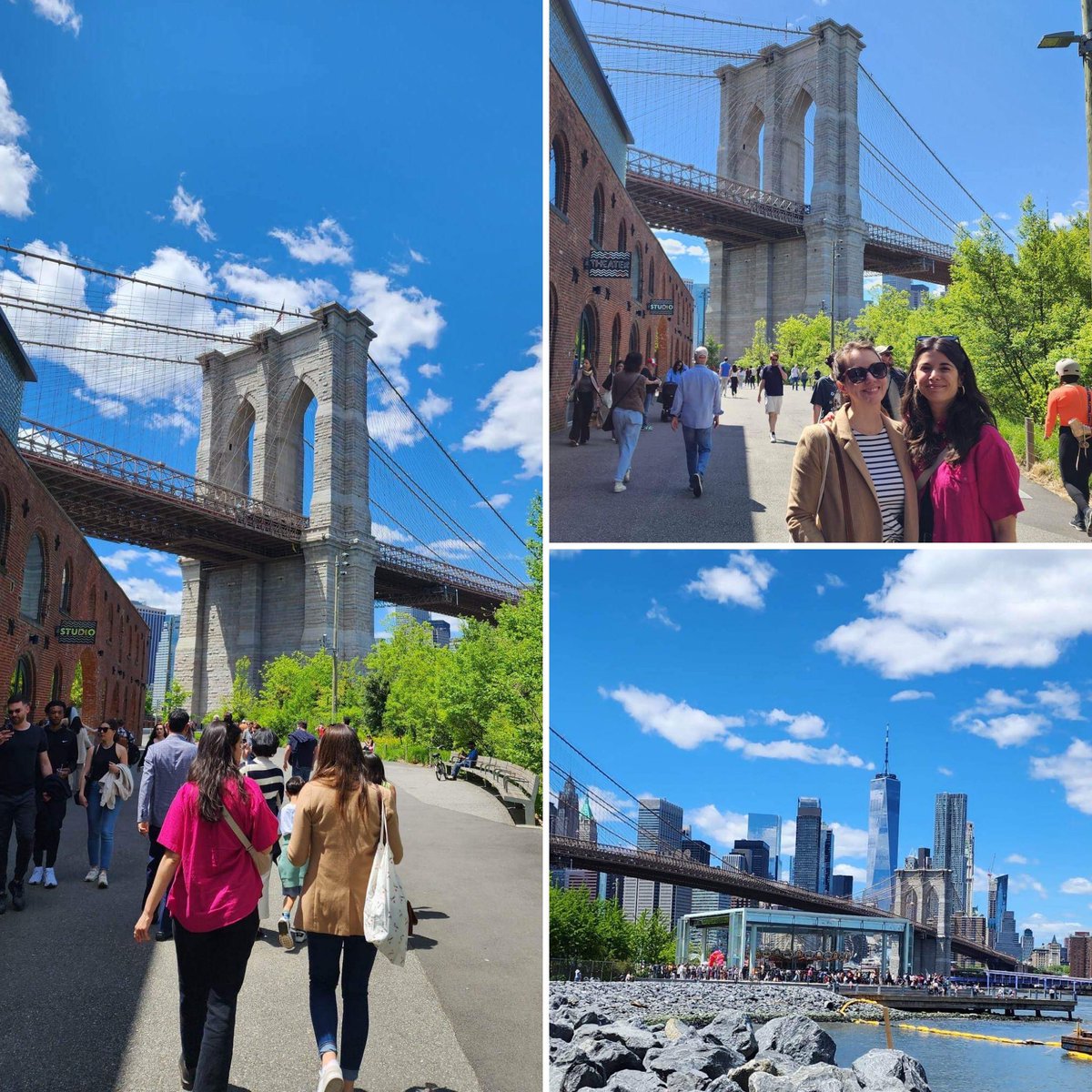 Gwladys Bonnassie tweet media