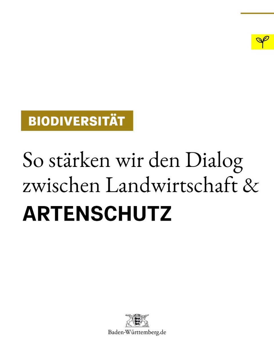 RegierungBW's tweet photo. 1/3 Vernetzen, verstehen, verändern: unser Weg zur nachhaltigen #Landwirtschaft 🌱🐝 Das Miteinander von Landwirtschaft & #Artenschutz funktioniert, wenn Beteiligte aus Landwirtschaft, Naturschutz, Handel, Politik & Gesellschaft an einem Strang ziehen #Artenvielfalt #SpotlightBW https://t.co/UDwiByTpmx