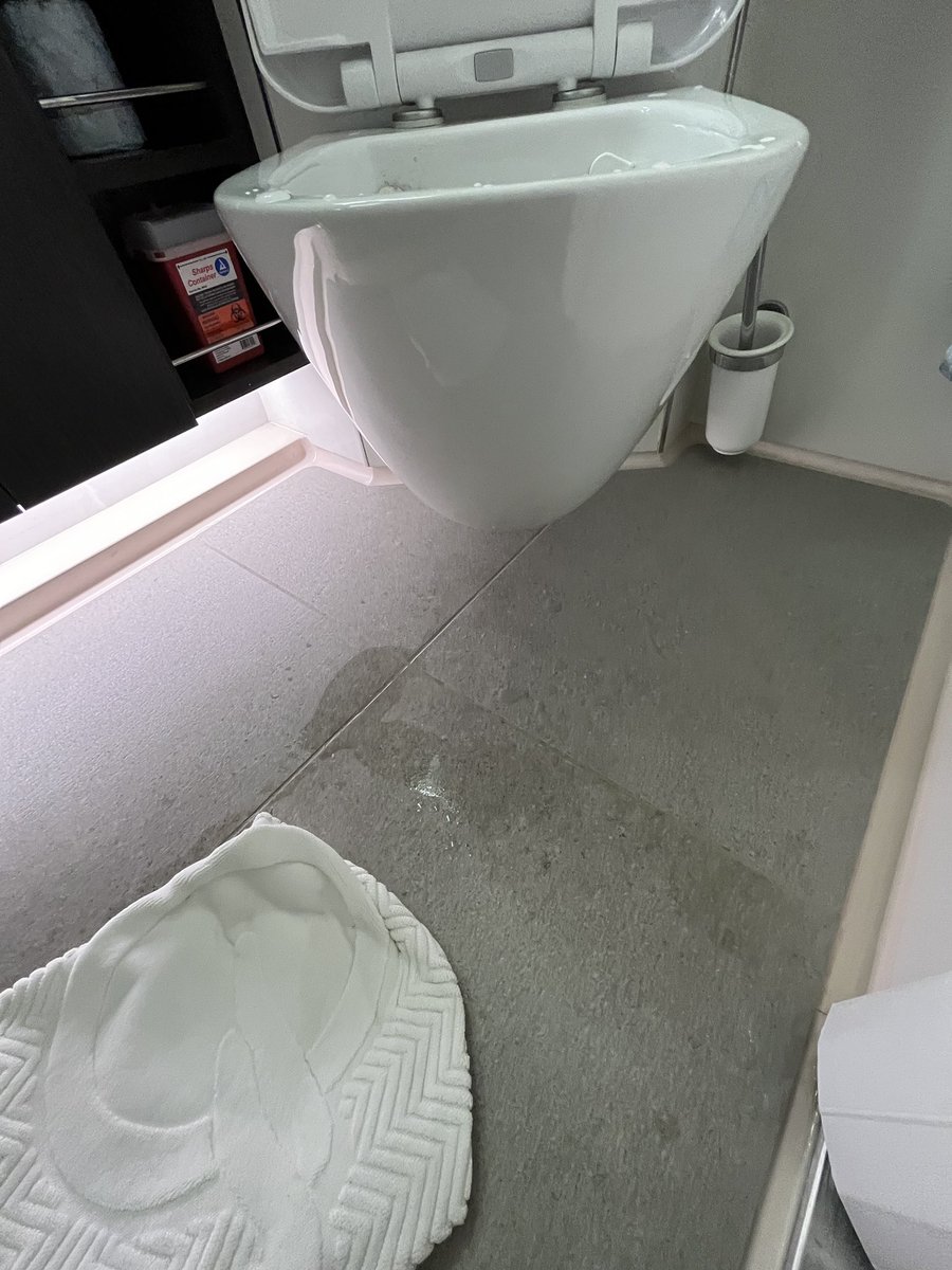 guywaters's tweet photo. @oceana Great first impression to discover the toilet in our new state room has a broken toilet, and water all over the floor! https://t.co/cliRqWvvDU