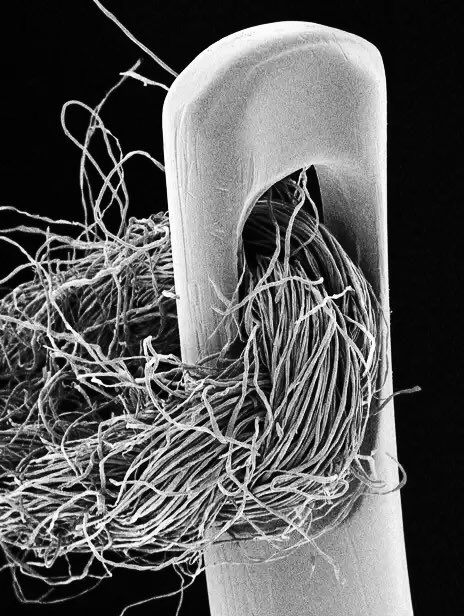 needle and thread seen through an electron microscope