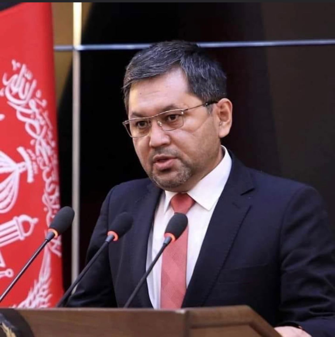 طالبان، خانواده و بستگان مسئولین حکومت پیشین را گروگان می‌گیرند، تا آنها را مجبور به تسلیمی نمایند. اگر کار در حکومت پیشین را جرم هم بدانیم، جرم یک عمل شخصی است و طبق سیستم قضایی کدام دین و آیین، خانواده و بستگان باید زندانی و شکنجه شوند؟
<a href="/SR_Afghanistan/">UN Special Rapporteur Richard Bennett</a>