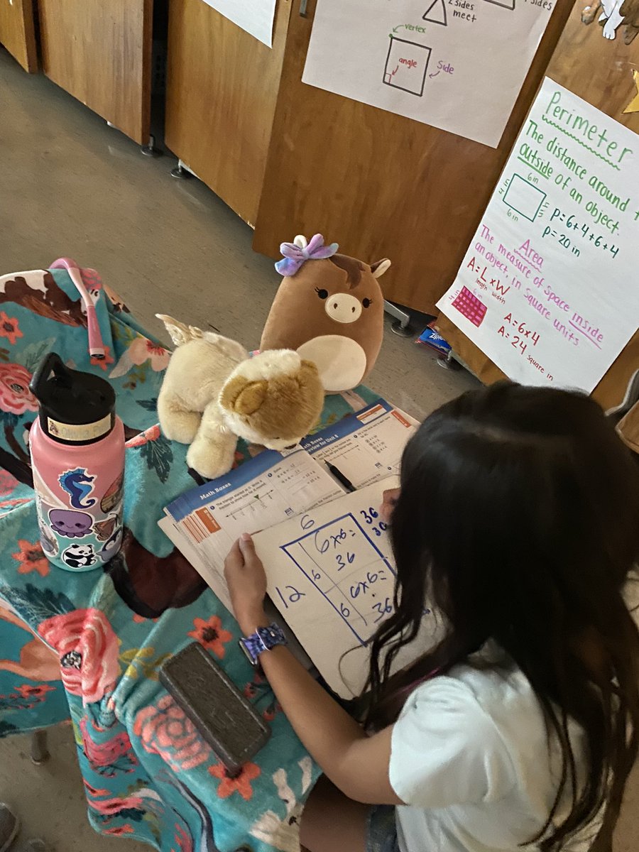 PSDSieverts's tweet photo. Today, we turned our classroom into a campsite!⛺️🔦 For our marble jar reward, @PSDGrasse  third graders became campers for the day and had a blast! Cherishing these last few weeks full of special memories together💚 https://t.co/M8wvSQDXCu