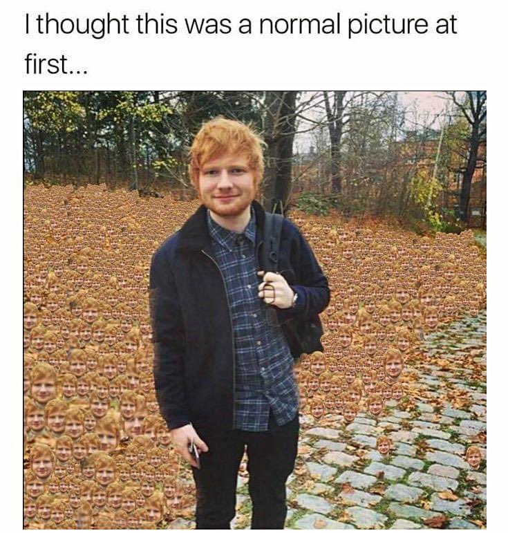 Out Of Context Memes (@nocontextmemes) on Twitter photo 