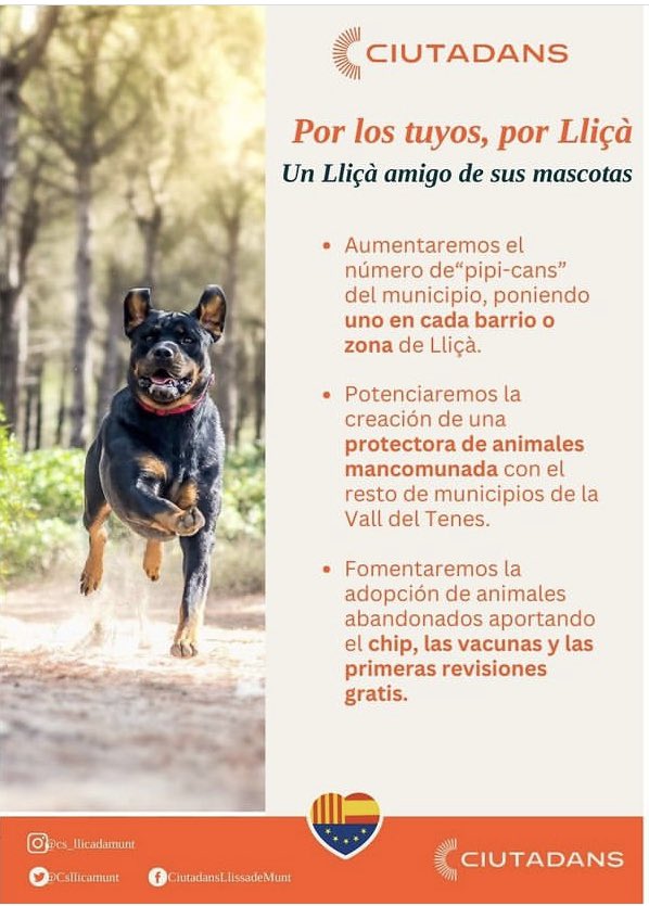 Csllicamunt's tweet photo. ✅🍊🧡A pocas horas del inicio de la campaña,
queremos que conozcáis las propuestas de nuestro
programa pensadas para nuestros mejores amigos!🐕🐈
#porlostuyos  #porLliçà https://t.co/6TyFl0Cj6t