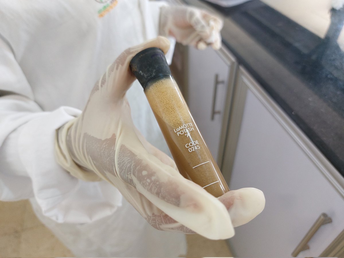 Shaking test tubes🧪 and measuring the soil content! 

Today, under  <a href="/FAO/">Food and Agriculture Organization</a> Liberia's soil project, we started 10 days training at <a href="/UniOfLib/">University of Liberia</a> lab with experts from <a href="/BritGeoSurvey/">British Geological Survey</a>.

This will help #Liberia to enhance #EvidenceBased decision-making in agriculture and land planning. 🇱🇷