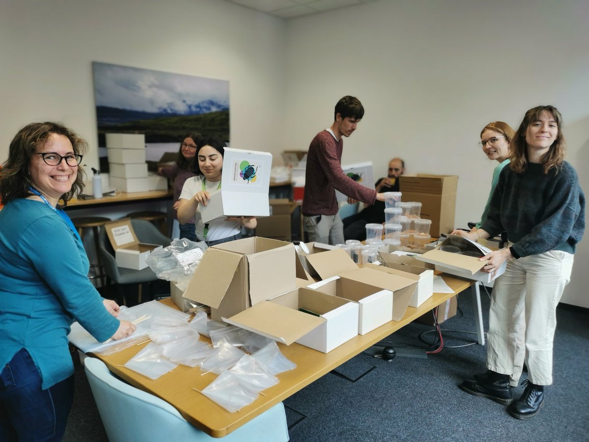 Teamwork at @iDiv! 🥳 Today we packed 176 kits for the MikroSafari citizen science project funded by @Carlsbergfondet. Read more at mikrosafari.de 🐜❤️ Guess how long it took us?