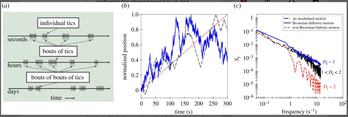 Tics are fractal: The chaotic temporal nature of tics possess inherent fractality; have neighbor-to-neighbor correlation at all levels of timescale. Beeler, Black, Charkrabarty proved it. Thanks @KJBinSTL for sharing w @TouretteAssn Medical Advisory Board. royalsocietypublishing.org/doi/10.1098/rs…