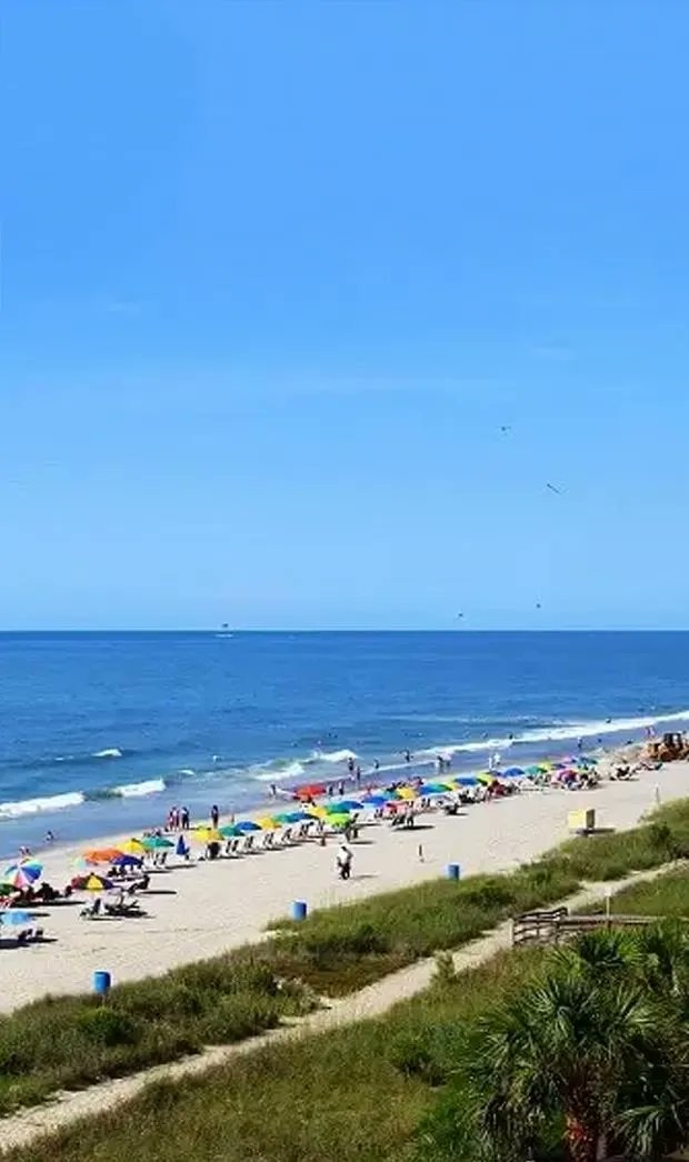 AlkiSurfShop's tweet photo. Our beloved #AlkiBeach is on yet another list of top beaches!
Top 9 Beaches on the West Coast in US https://t.co/RCHQtZvboj #topbeach #westcoast #US #westseattle https://t.co/EWTsUy0oSu