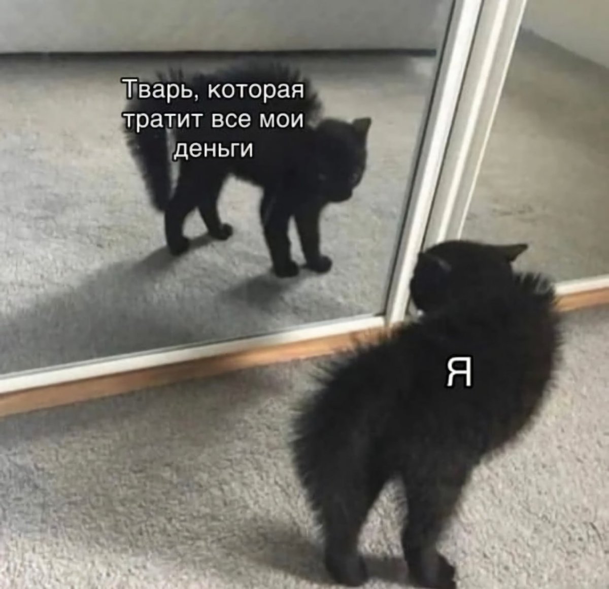 RussianMemesLtd's tweet photo. bastard who spent all my money

me https://t.co/reOdrg0PAs