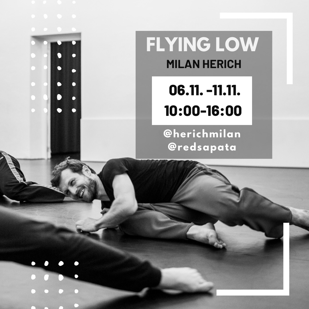 RedSapata Tanzfabrik tweet media