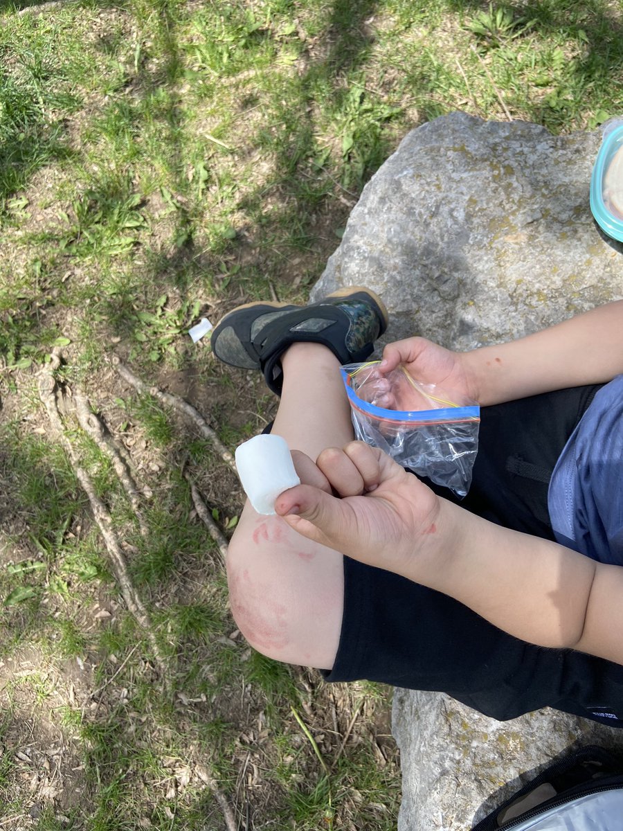 A grade 1/2 student during our picnic today: I’m eating marshmallows AND I’m outside. Today’s the best day ever!