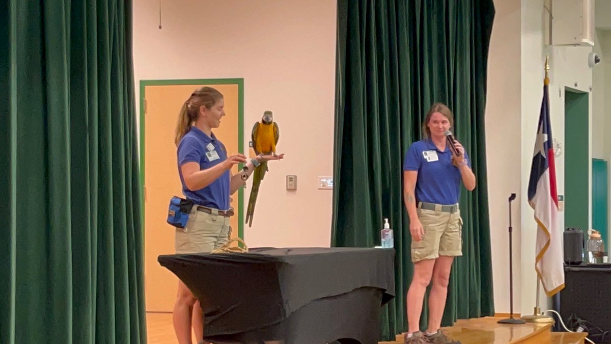 The Dallas Zoo, Animal Adventures, visits WGES! 3rd, 4th &amp; 2nd. We had so much fun learning about many different types of animals! And we got to see them!  🦜 🐍🦫🐀🦅 And some of us were picked to touch them! 👏🏽
#InspireExcellence #DragonProud #theGrove <a href="/WGESdragons/">Walnut Grove ES</a>
 <a href="/DallasZoo/">Dallas Zoo</a>