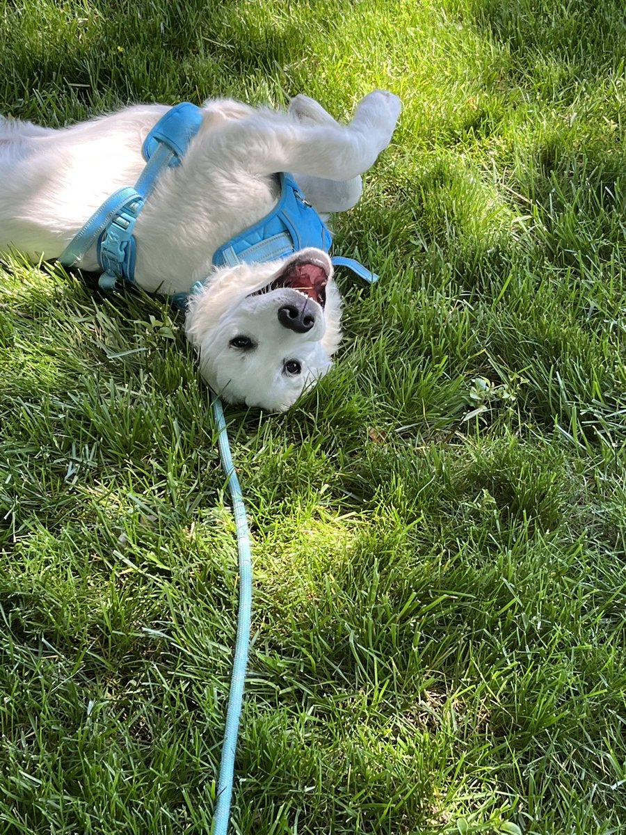 fen 🐢 tweet media