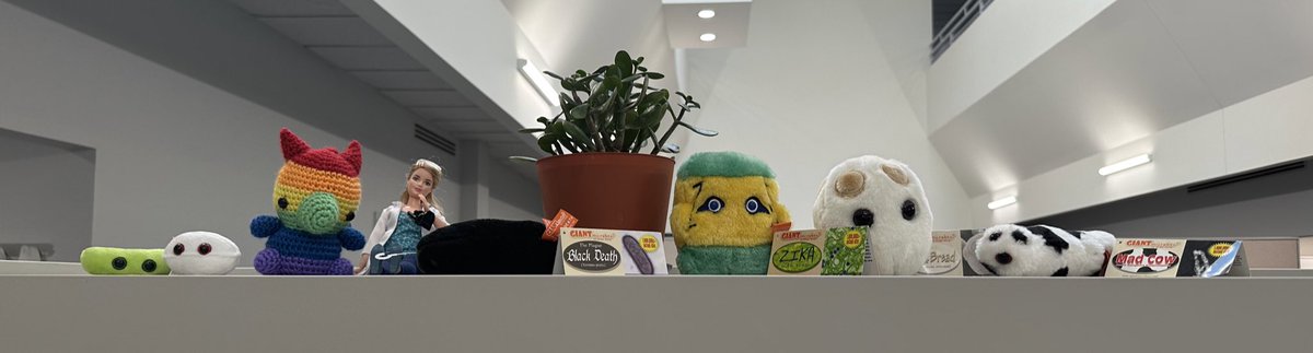 Ellen 🧬🥼 tweet media