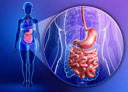 Each Year 62 Million Americans Are Diagnosed With a Digestive Disorder peaklife4u.com/blogs/blog/eac…