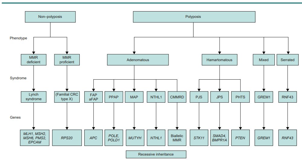 BjsOpen's tweet photo. Have a🔎at our latest comprehensive review covering all u need to know📜about hereditary 🧬colorectal, gastric & pancreatic🦀!
https://t.co/y1LL0DNRiy
@Adductor @DrRABurkhart #SoMe4Surgery #StepUp4CRC #SurgEd #MedTwitter @BJSAcademy @BJSurgery @juliomayol @young_bjs Great read! https://t.co/JmmOmMBydO