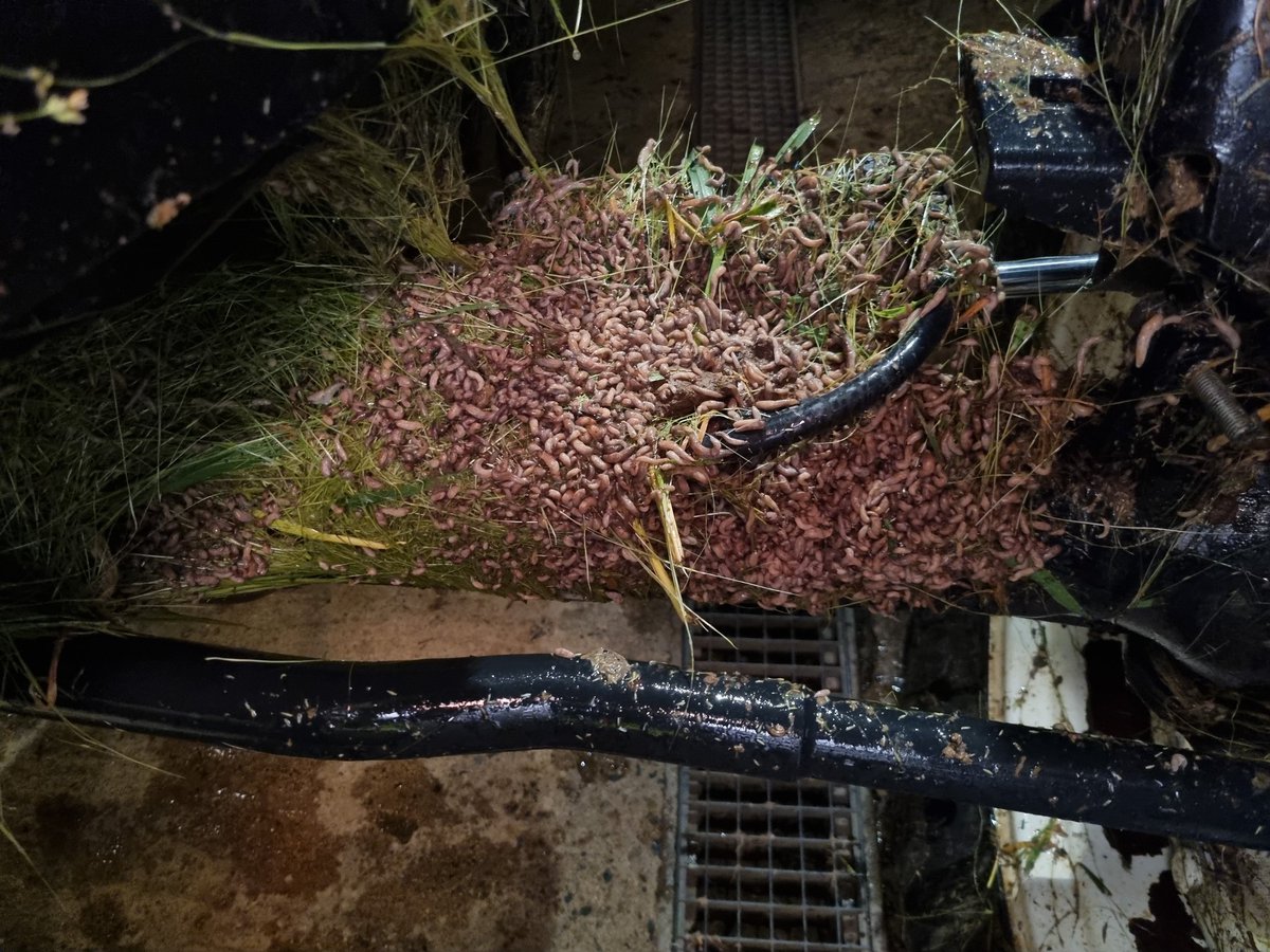 Rasillard Jean-Baptiste tweet media