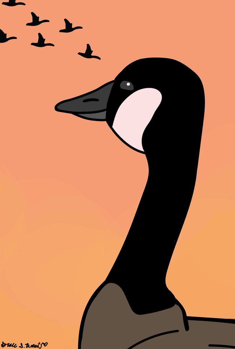 A happy goose 🪿✨
