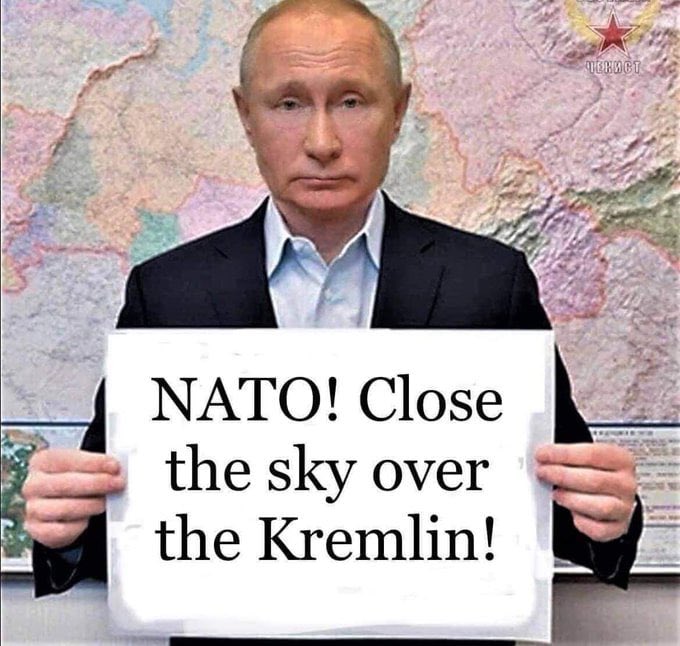 CZ_SR_Fella on Twitter "Maks_NAFO_FELLA https//t.co/Rys64OG4sw" / Twitter