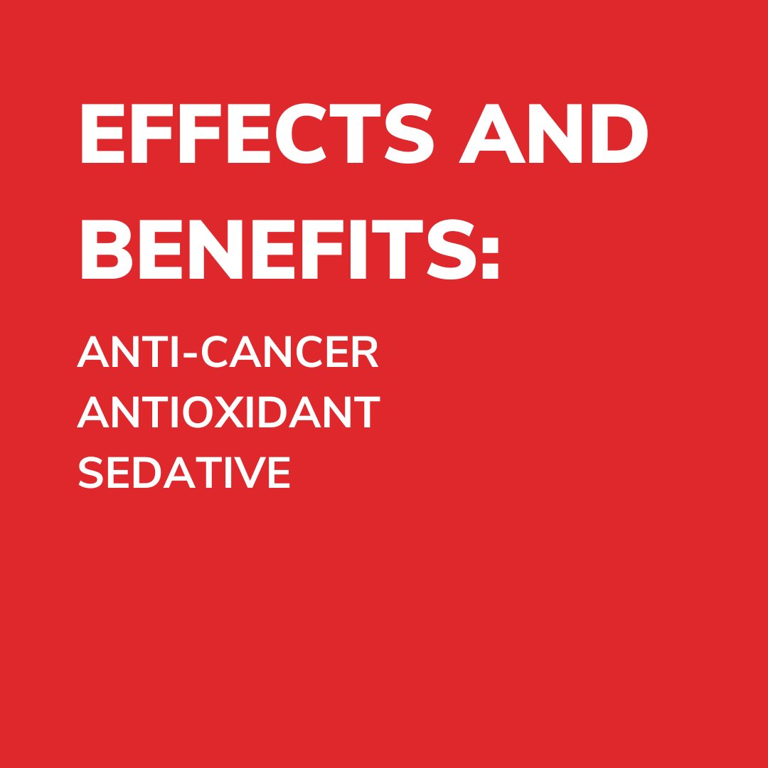 Found in apples, nutmeg, and cannabis? Swipe to read more on this terpene!