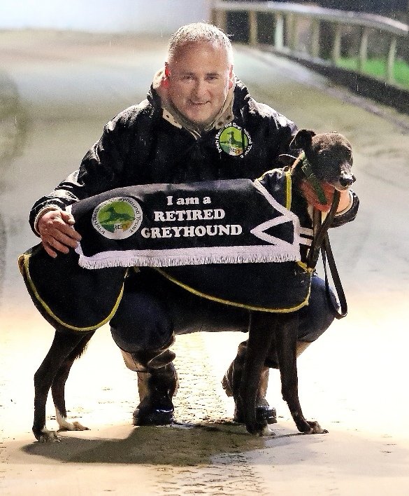 Retired Milly (Reality Minx) carried on the Tradition of having the Pleasure of leading out our Amazing Athletes at the Recent Final of the Select Stakes Kilcohan Park Greyhound Stadium
#ourgreyhoundsourlives
#BehindTheTrack
#thisrunsdeep

Credit Noel Browne for Picture