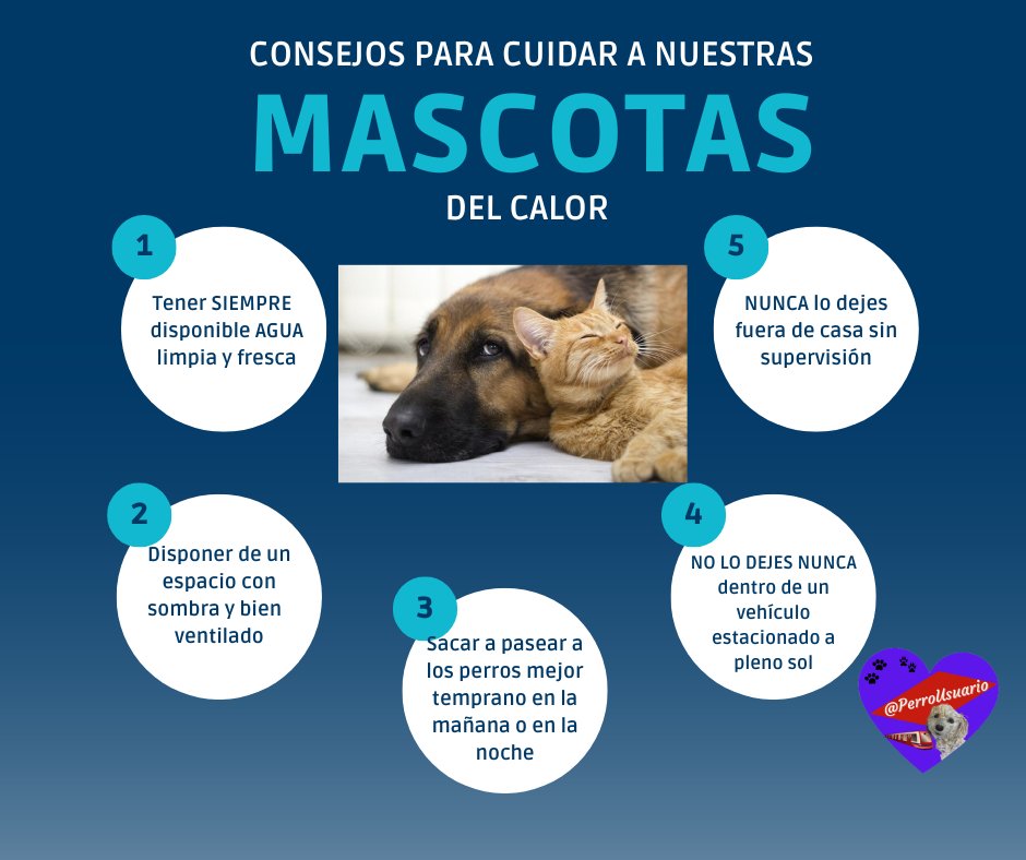 Nuestros perros y gatos también pueden sufrir golpes de calor 🥵, más aún si son cachorros o viejitos. Acá les dejamos algunas recomendaciones que esperamos sean de utilidad 🐕🐈