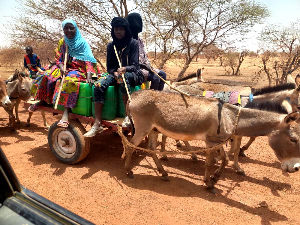 first_niger's tweet photo. 🔴🇧🇫#BurkinaFaso, Au #Sahel Dans la nuit du 10 au 11 Mai 2023, le village d'#Oursi a fait l'objet d'une violente incursion djihadistes et enregistré un important dégât des biens de la population.
Le village se vide actuellement de ses habitants😭. Que Dieu protège le Sahel 🤲🏾. https://t.co/AJV1DM6N4A