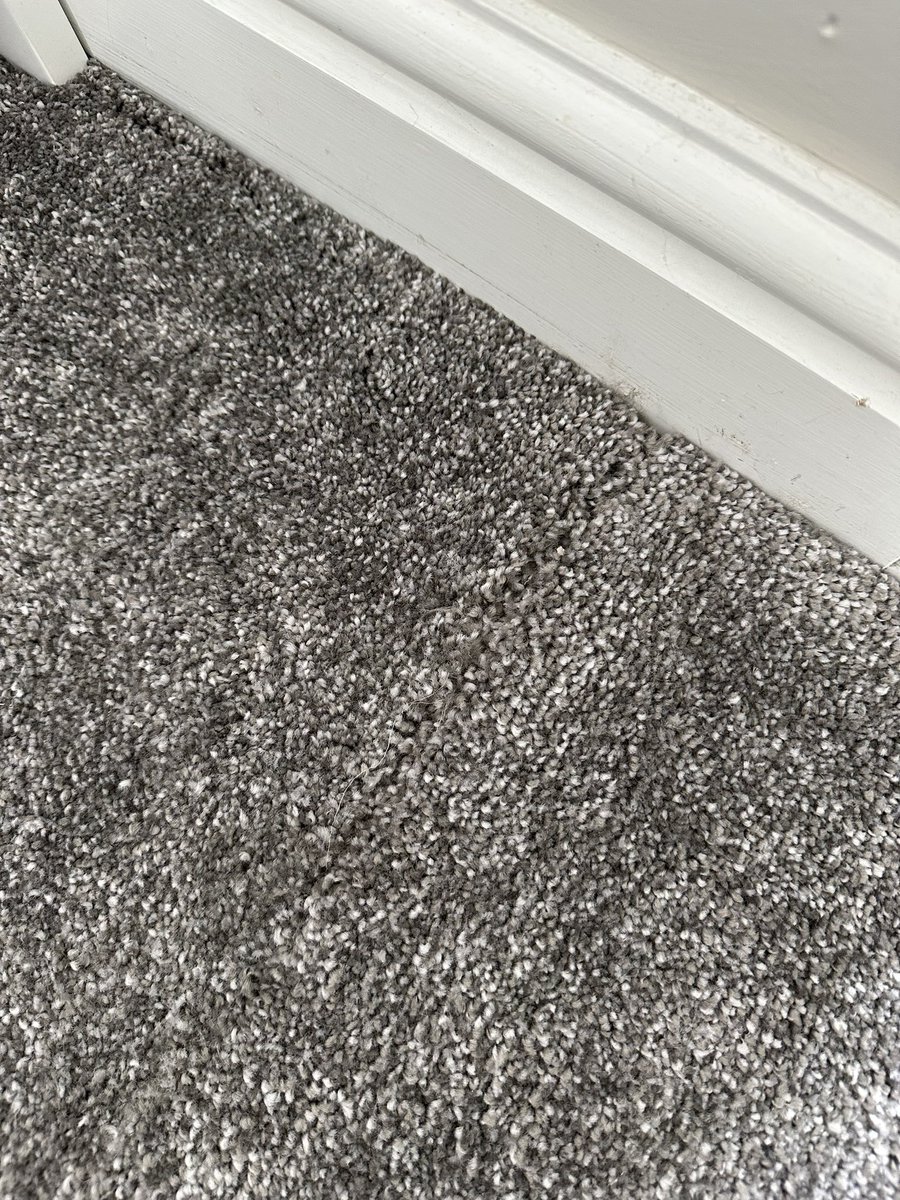 thebeatsareon's tweet photo. @scssofas Better than the mess your carpet fitters left on our brand new carpet fitted 6 days ago!! It’s already lifting and they’ve put a slice down part of it a glued it back together, absolute shambles of a company no one is getting back to us about our complaint either! https://t.co/al9Hgu8x6z
