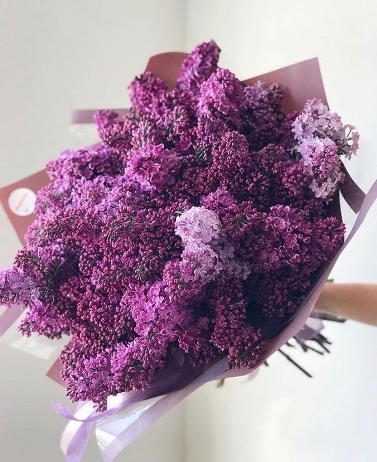 defnebisusya's tweet photo. Anneler günü hediyesi bizden olsun ister misin ❤️ Bu tweeti beğen, yoruma kalp bırak, Mor lotus set senin olsun 💜 https://t.co/Rke8xJi1ek