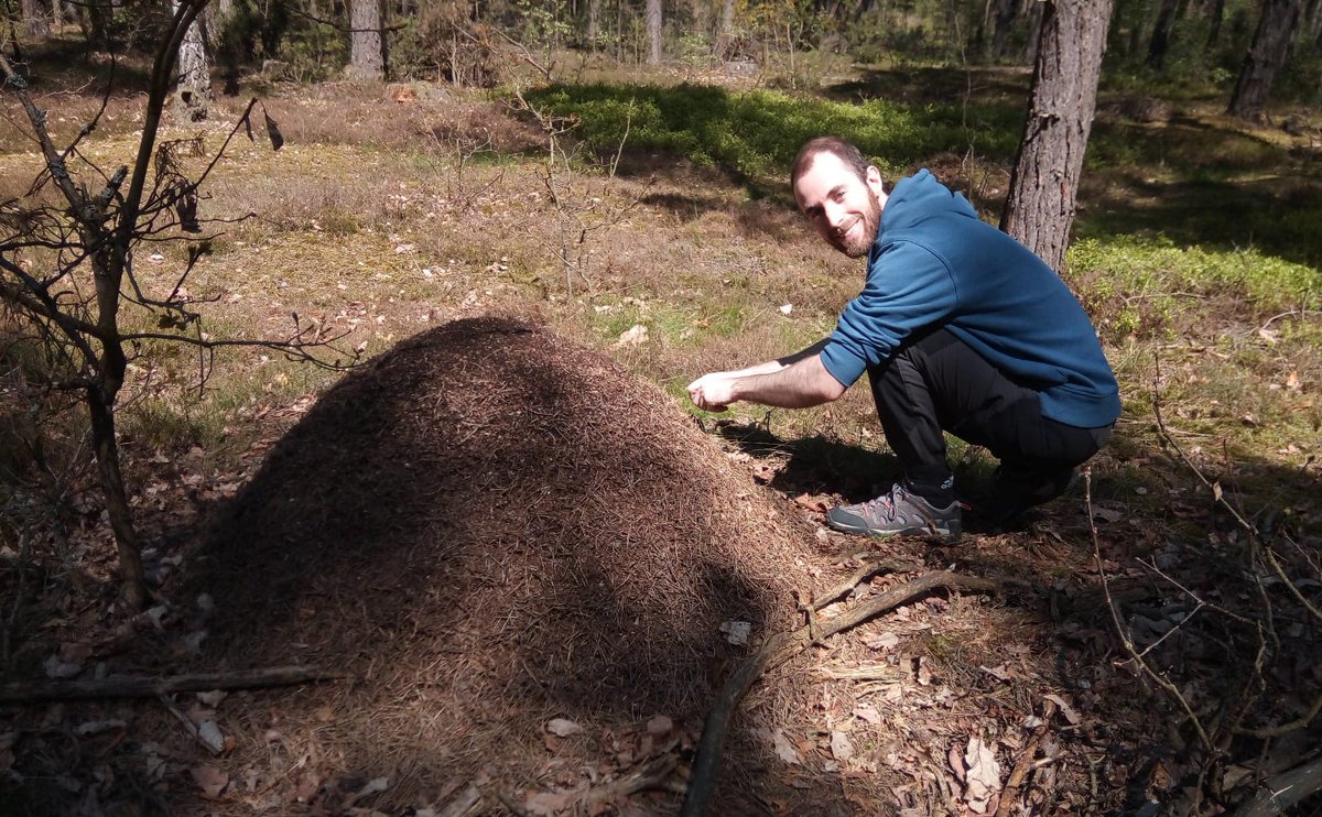 Checking the plots of <a href="/danielsangarci/">Daniel Sánchez-García</a> project about bacteria dispersion by ants in the forest. All our colonies are starting to get active!
