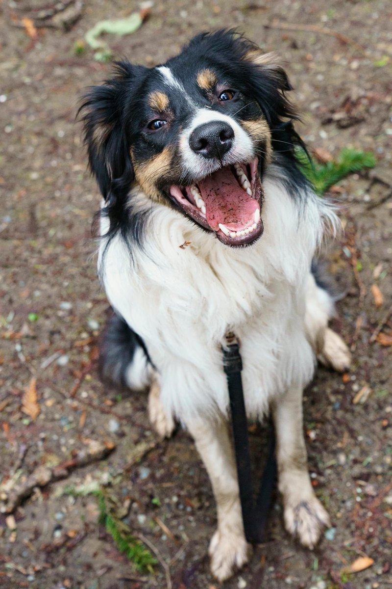 Rachel Lenkowski tweet media