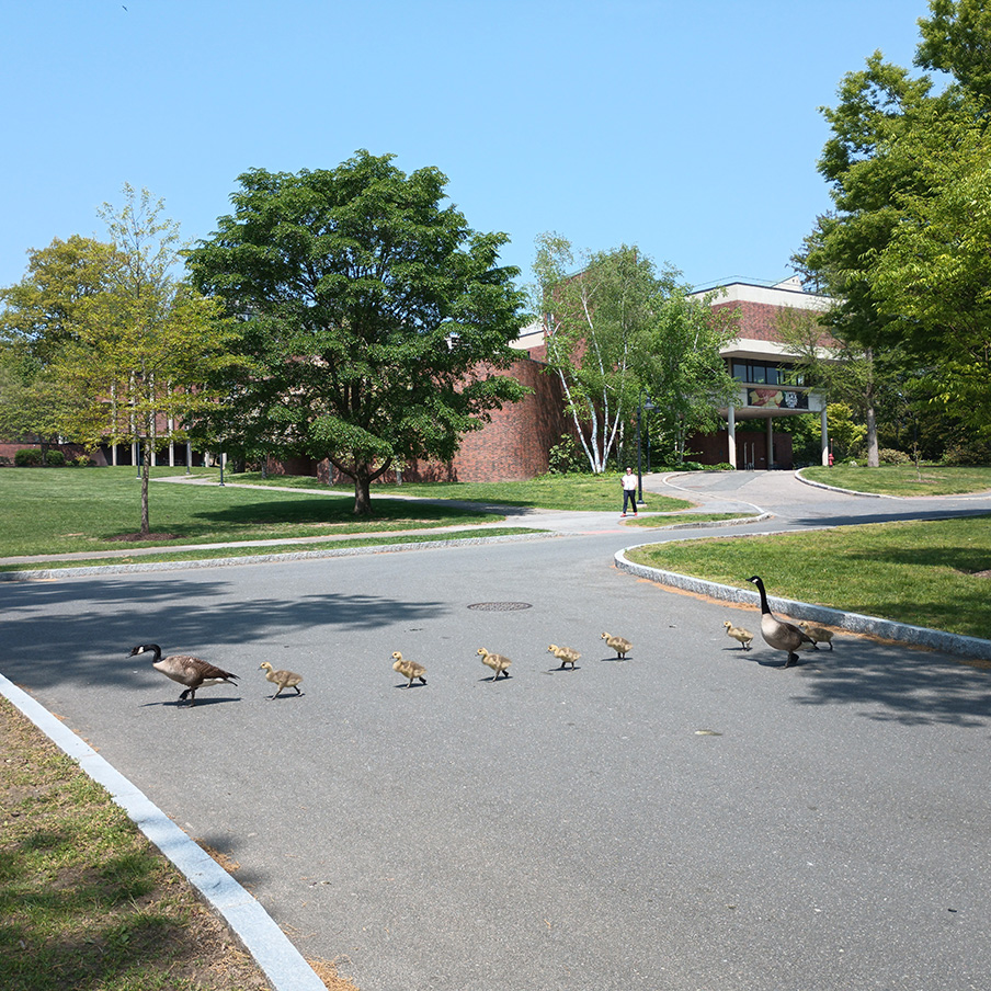 Mount Holyoke Alums tweet media