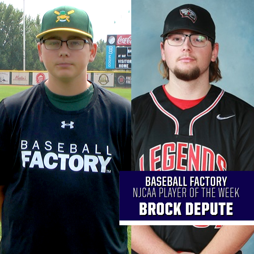 Baseball Factory tweet media